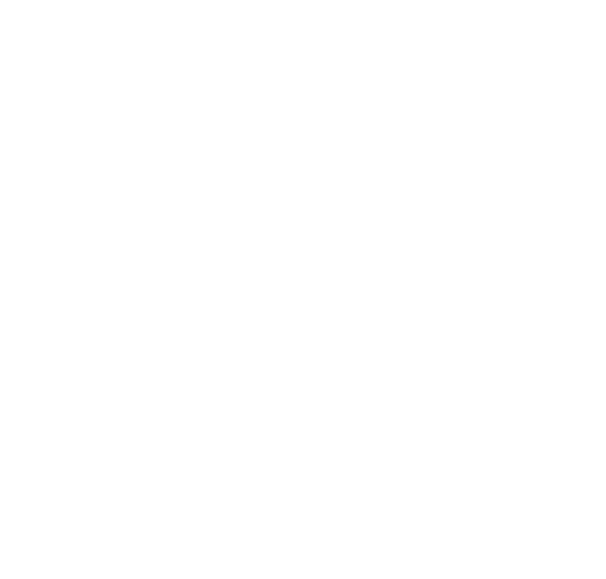 Logo The Story Tailors